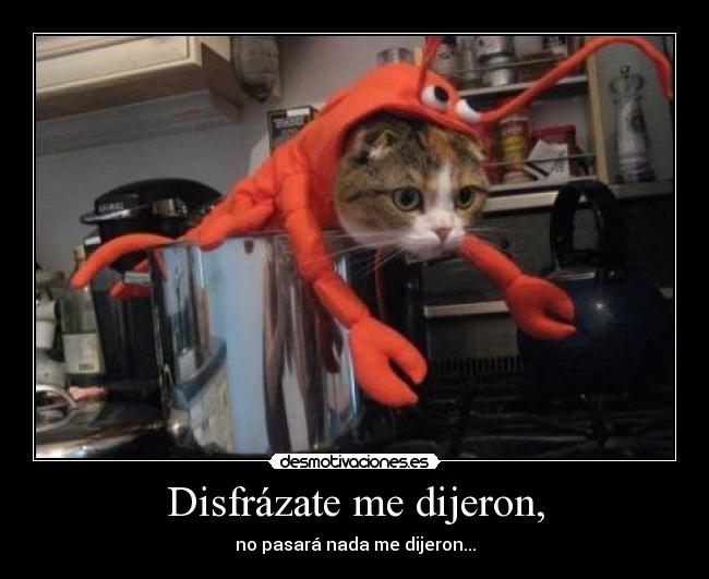 Disfrázate me dijeron, - no pasará nada me dijeron...