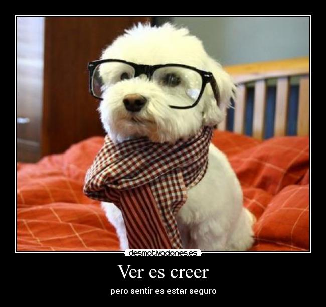 Ver es creer - pero sentir es estar seguro