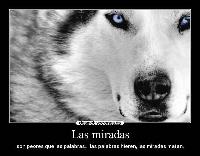 Las miradas - 