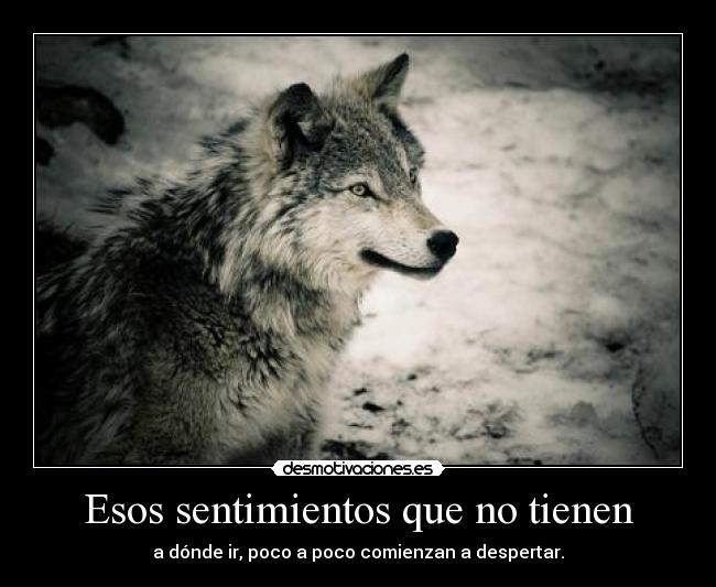 Esos sentimientos que no tienen - a dónde ir, poco a poco comienzan a despertar.