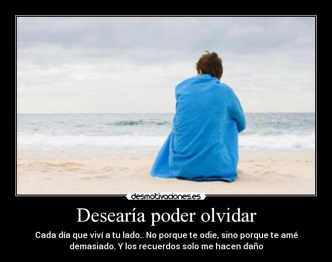 Desearía poder olvidar - Cada día que viví a tu lado.. No porque te odie, sino porque te amé
demasiado. Y los recuerdos solo me hacen daño