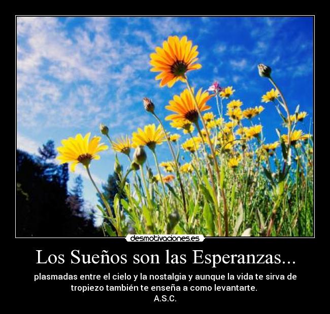 carteles andy silva cstaneda desmotivaciones