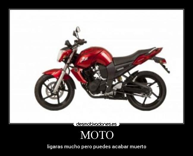 MOTO - ligaras mucho pero puedes acabar muerto