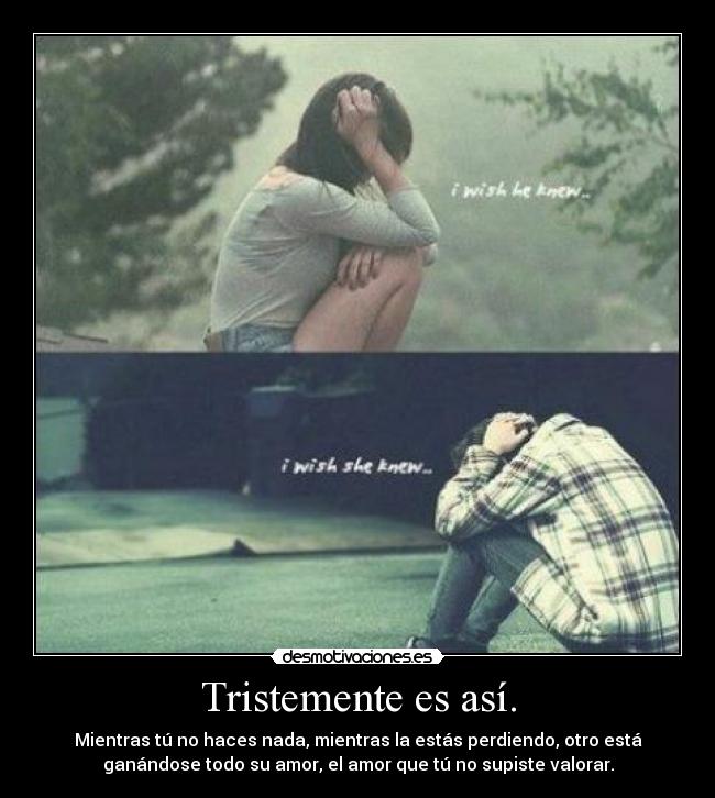 Tristemente es así. - Mientras tú no haces nada, mientras la estás perdiendo, otro está
ganándose todo su amor, el amor que tú no supiste valorar.