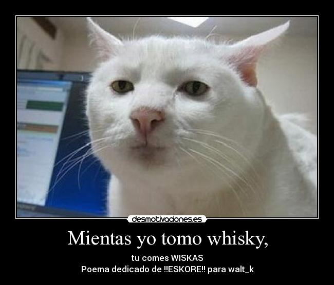 carteles mientas tomo whisky comes wiskas escuchaste waltk desmotivaciones