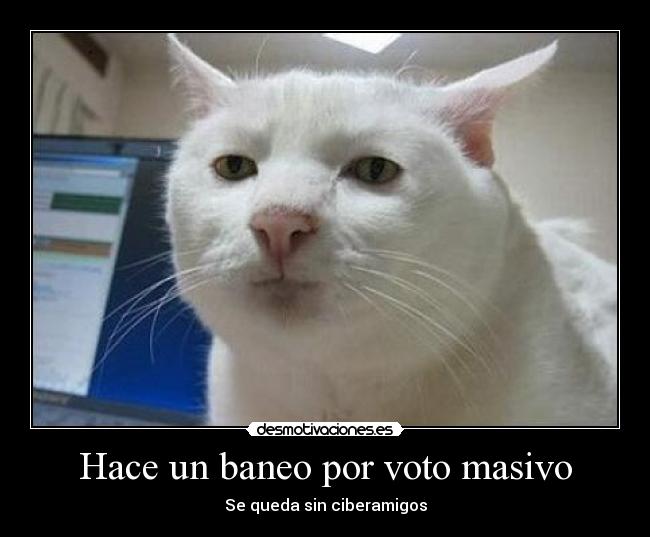 Hace un baneo por voto masivo - 