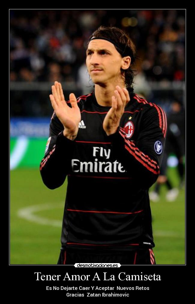 carteles amor zlatan desmotivaciones