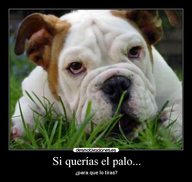 Si querías el palo... - 