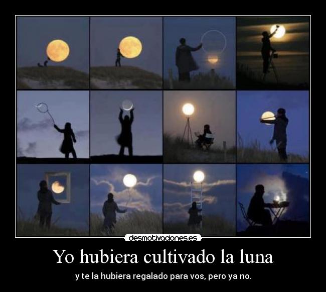 Yo hubiera cultivado la luna -
