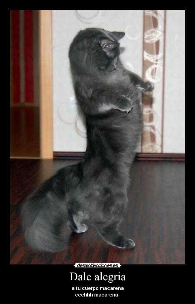 Dale alegria - a tu cuerpo macarena
eeehhh macarena♫♪♫