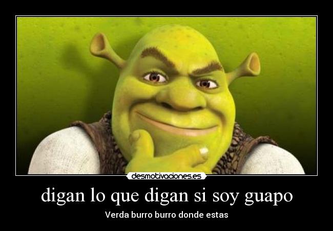 carteles burro desmotivaciones