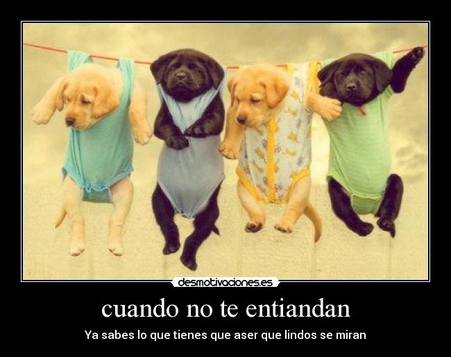 carteles lindos desmotivaciones