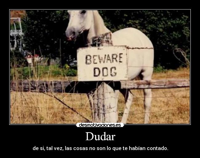 Dudar -