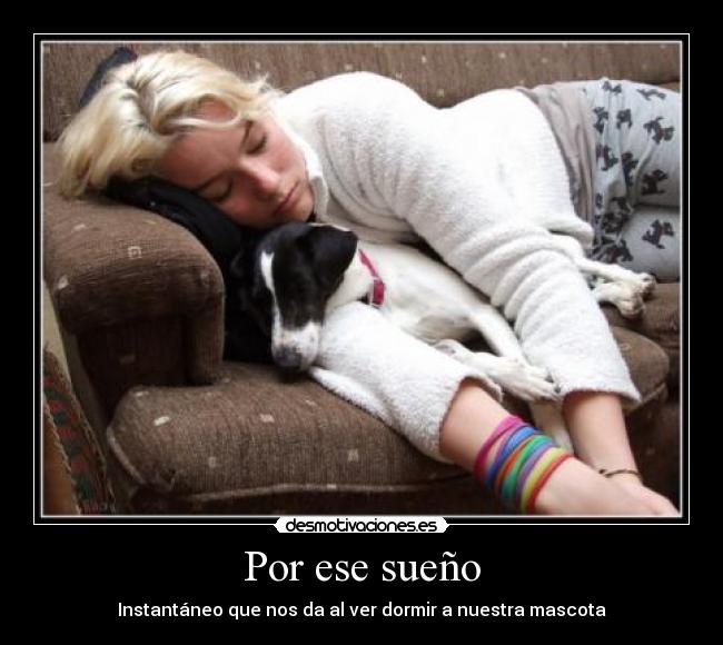 Por ese sueño - Instantáneo que nos da al ver dormir a nuestra mascota