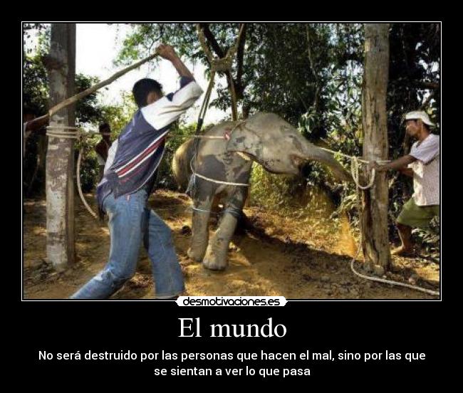 El mundo - No será destruido por las personas que hacen el mal, sino por las que
se sientan a ver lo que pasa