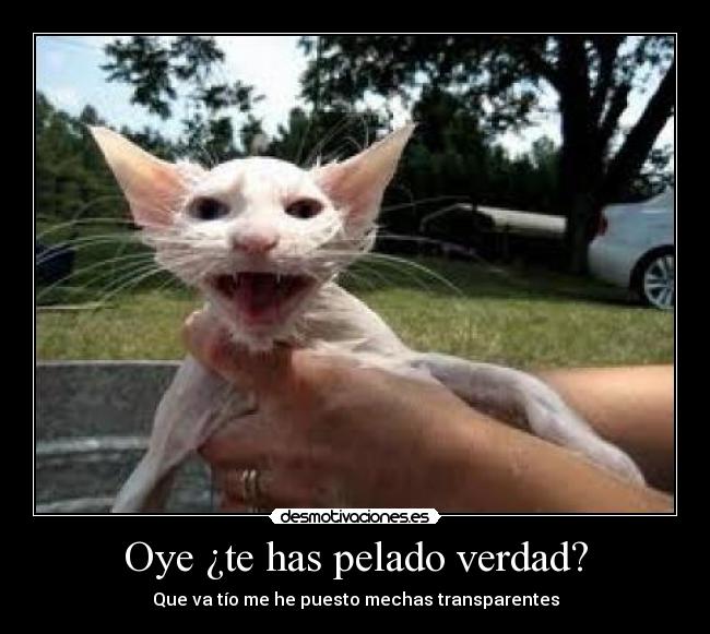 carteles momentos graciosos desmotivaciones