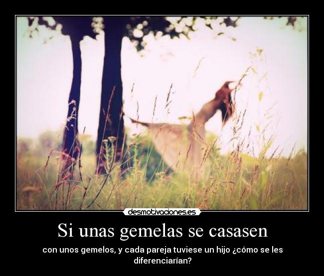 Si unas gemelas se casasen - con unos gemelos, y cada pareja tuviese un hijo ¿cómo se les diferenciarían?