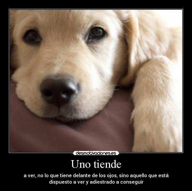 carteles uno tiende desmotivaciones