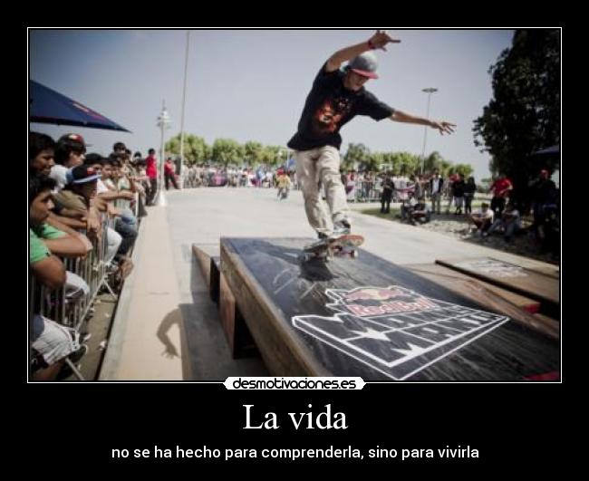 La vida - no se ha hecho para comprenderla, sino para vivirla