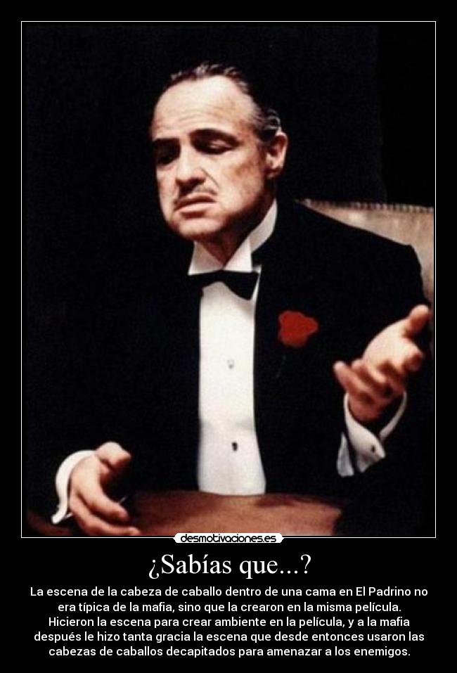 ¿Sabías que...? - La escena de la cabeza de caballo dentro de una cama en El Padrino no
era típica de la mafia, sino que la crearon en la misma película.
Hicieron la escena para crear ambiente en la película, y a la mafia
después le hizo tanta gracia la escena que desde entonces usaron las
cabezas de caballos decapitados para amenazar a los enemigos.