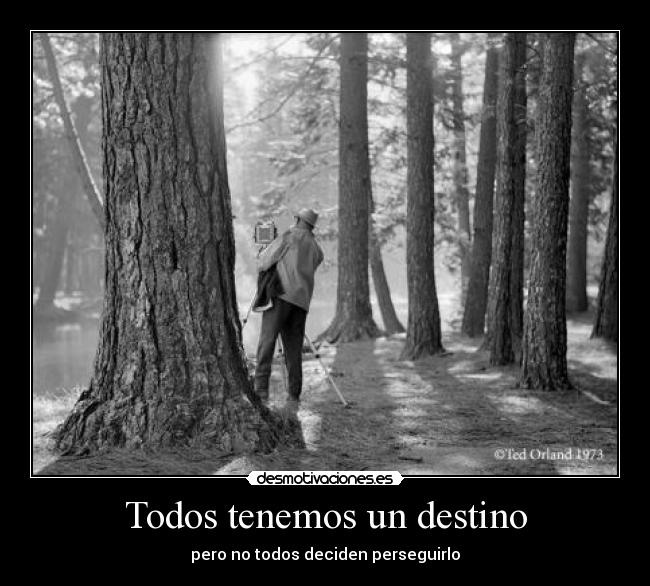 Todos tenemos un destino - pero no todos deciden perseguirlo