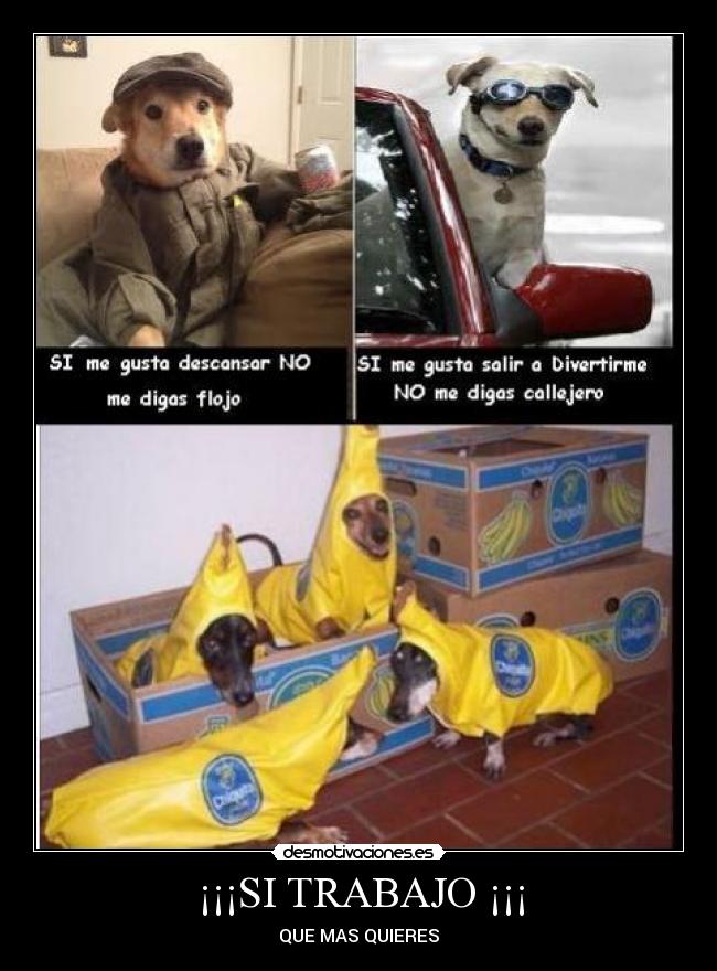 ¡¡¡SI TRABAJO ¡¡¡ - 