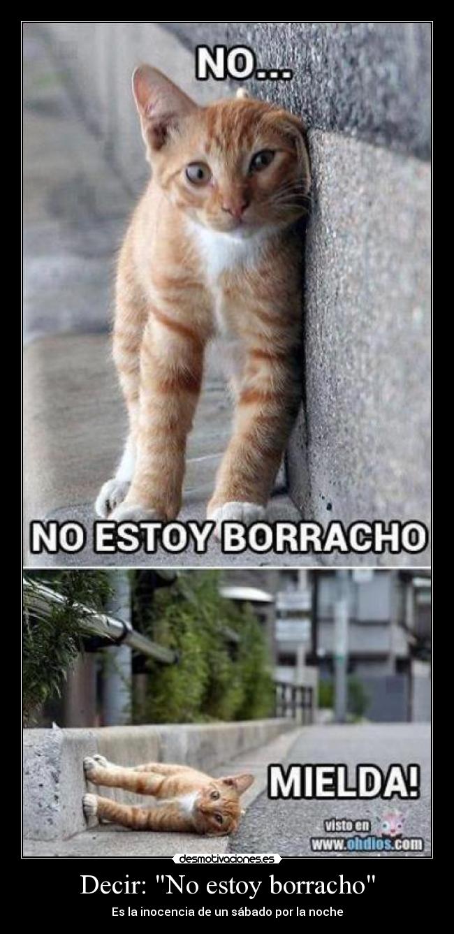 Decir: No estoy borracho - Es la inocencia de un sábado por la noche