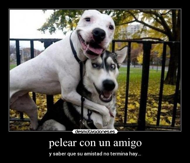 carteles amigos inolvidables desmotivaciones