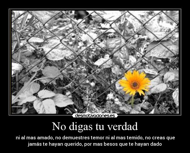 No digas tu verdad -