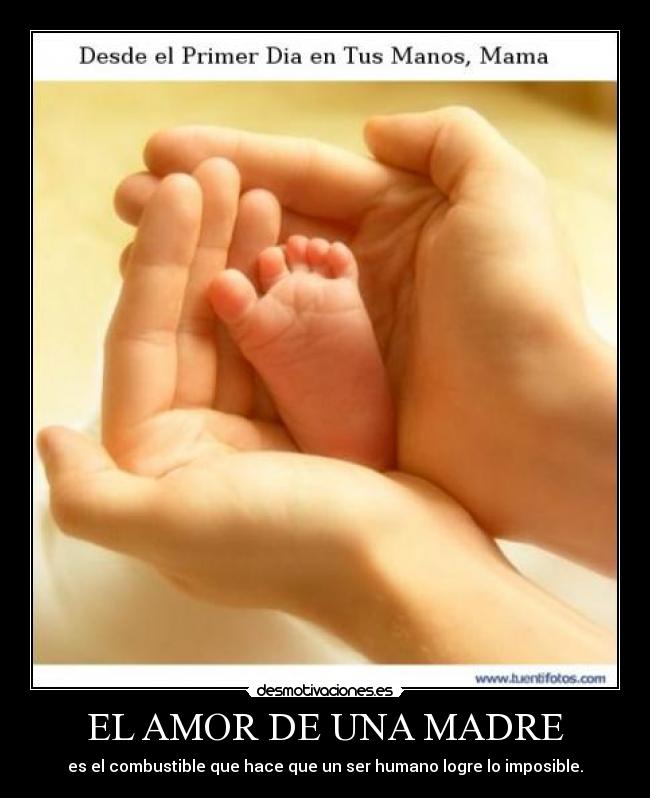 carteles amor madre madre amor unica hijo hija eterno desmotivaciones