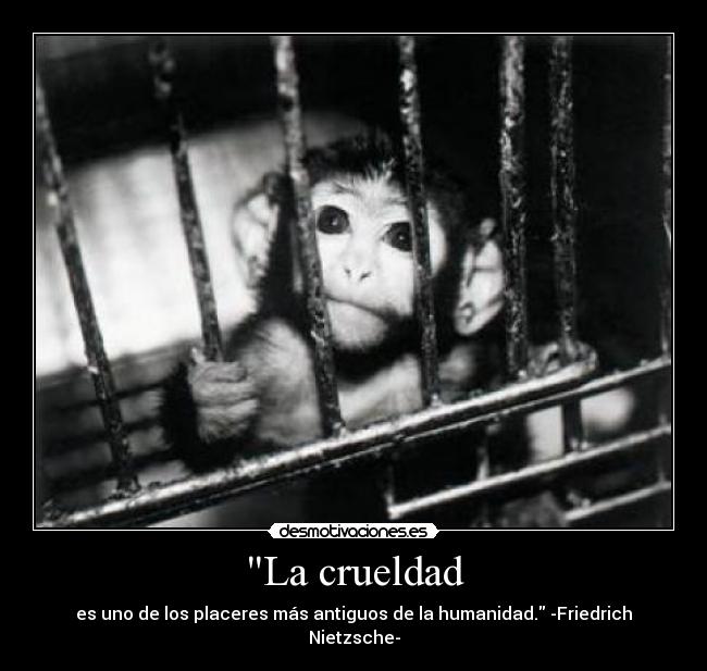 La crueldad - es uno de los placeres más antiguos de la humanidad. -Friedrich Nietzsche-