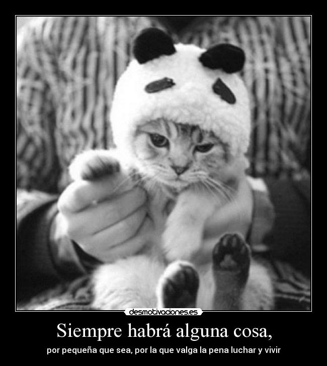 Siempre habrá alguna cosa, - 