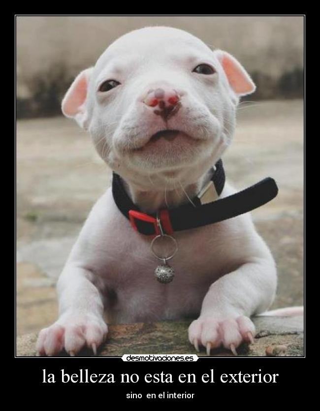 la belleza no esta en el exterior -