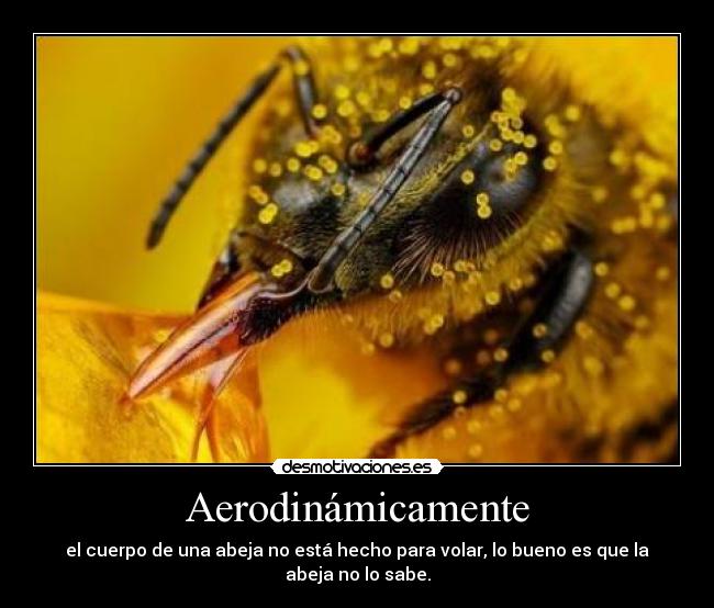 Aerodinámicamente - el cuerpo de una abeja no está hecho para volar, lo bueno es que la abeja no lo sabe.