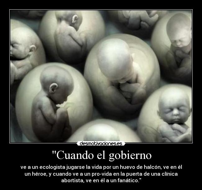 Cuando el gobierno - ve a un ecologista jugarse la vida por un huevo de halcón, ve en él
un héroe, y cuando ve a un pro-vida en la puerta de una clínica
abortista, ve en él a un fanático.