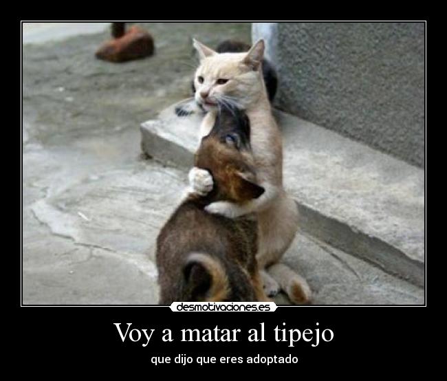 Voy a matar al tipejo -
