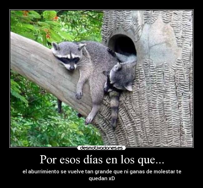 Por esos días en los que... - 