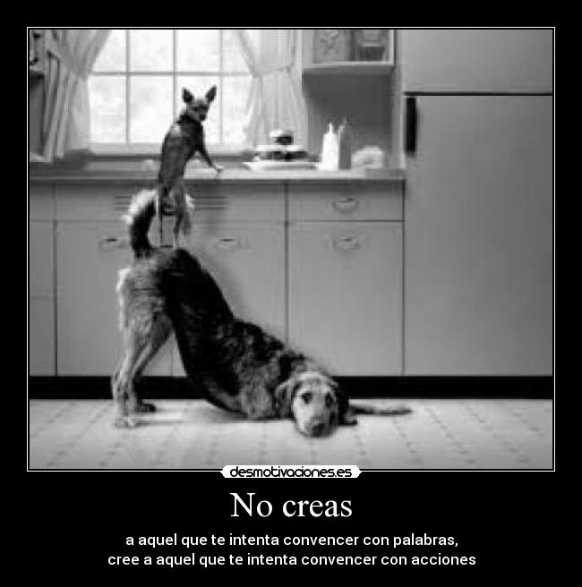 No creas - 