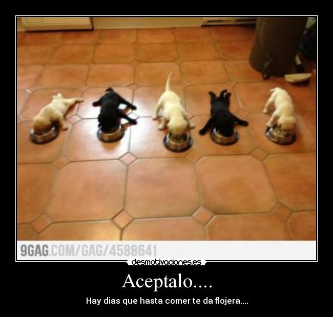Aceptalo.... -
