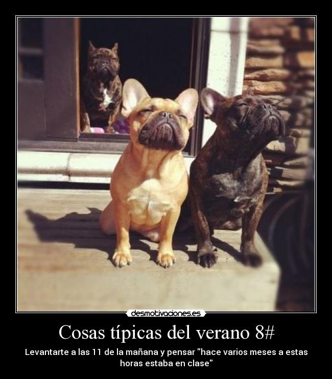 Cosas típicas del verano 8# - Levantarte a las 11 de la mañana y pensar hace varios meses a estas
horas estaba en clase