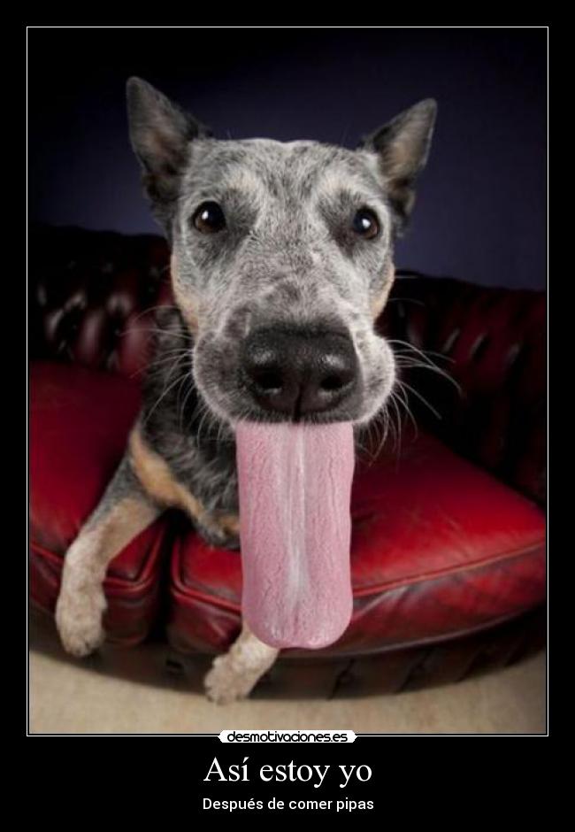 carteles pipas saladas dan mucha sed jajaj desmotivaciones