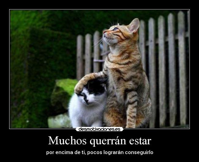 carteles cabeza princicola intruders desmotivaciones