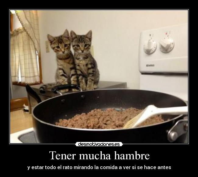 Tener mucha hambre -