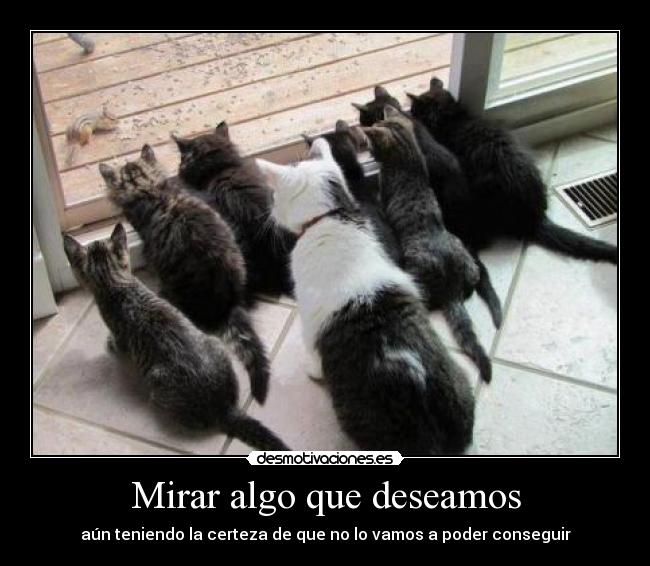 Mirar algo que deseamos -