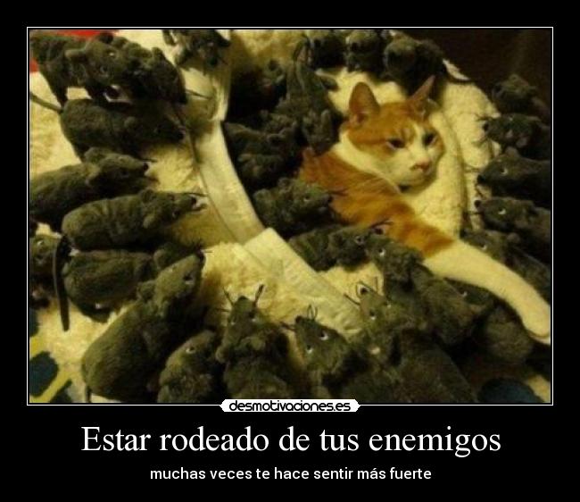 Estar rodeado de tus enemigos - muchas veces te hace sentir más fuerte