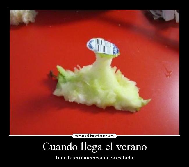 Cuando llega el verano - toda tarea innecesaria es evitada