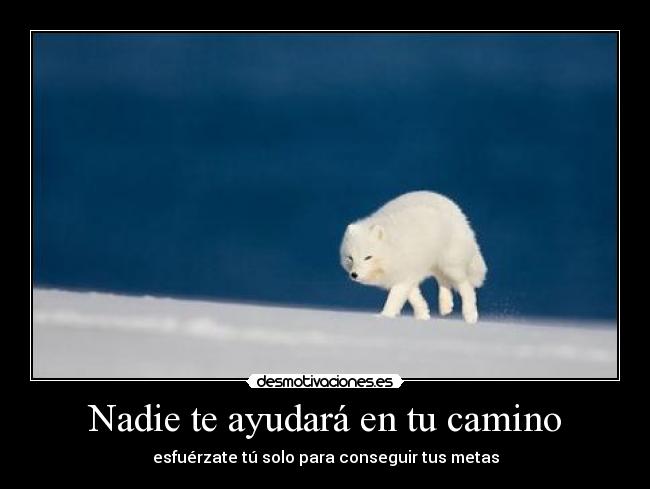Nadie te ayudará en tu camino -