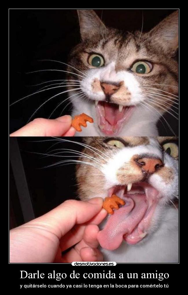 Darle algo de comida a un amigo - y quitárselo cuando ya casi lo tenga en la boca para comértelo tú