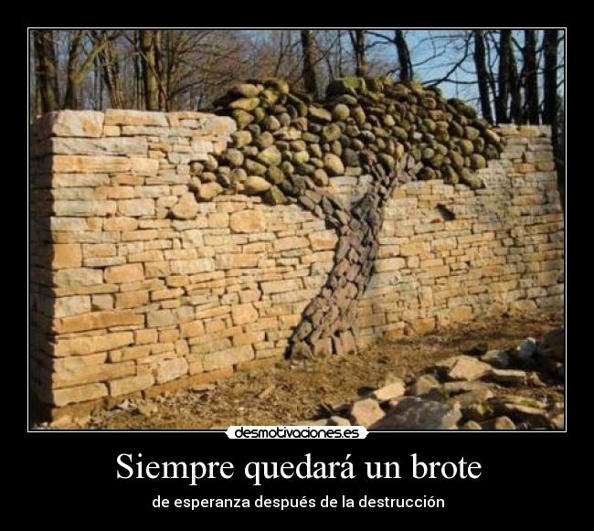 Siempre quedará un brote - 