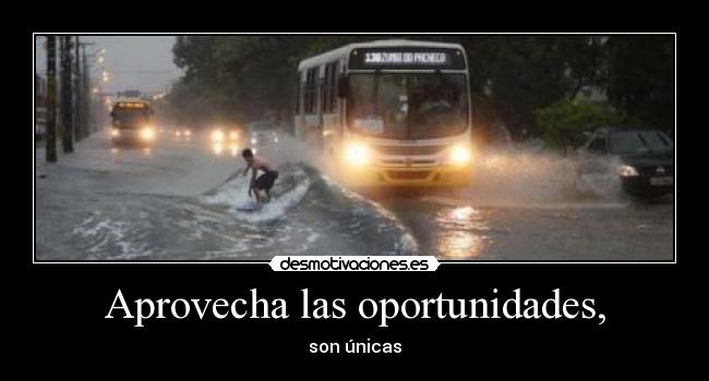 Aprovecha las oportunidades, - 